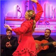 Doy clases particulares de danza española ( sevillanas, flamenco ,etc) y entrenamiento personal